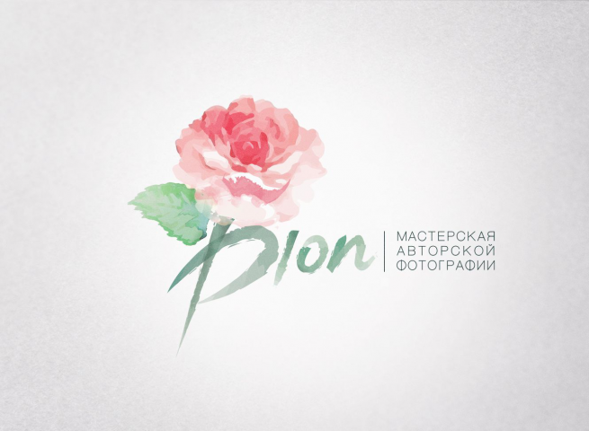Логотип "Dion"