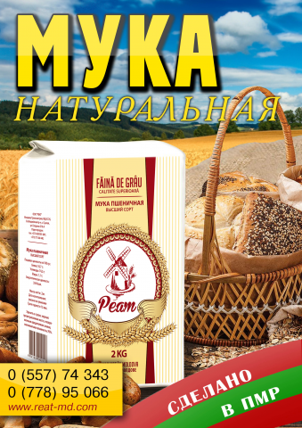 Плакат