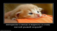 Озвучка демотиваторов