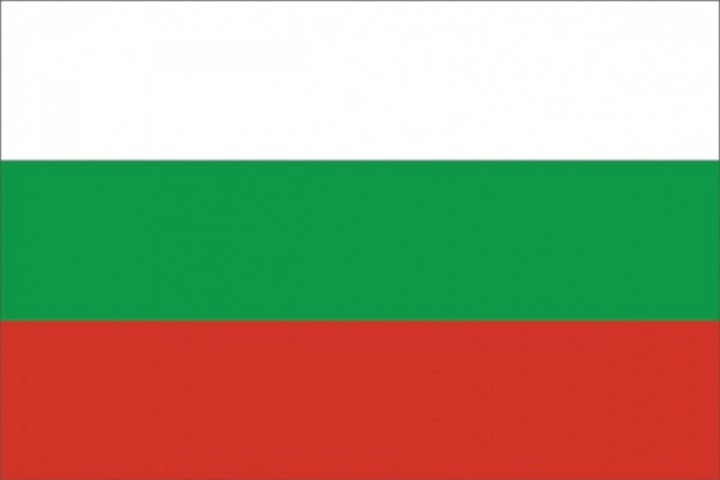 Перевод на болгарский