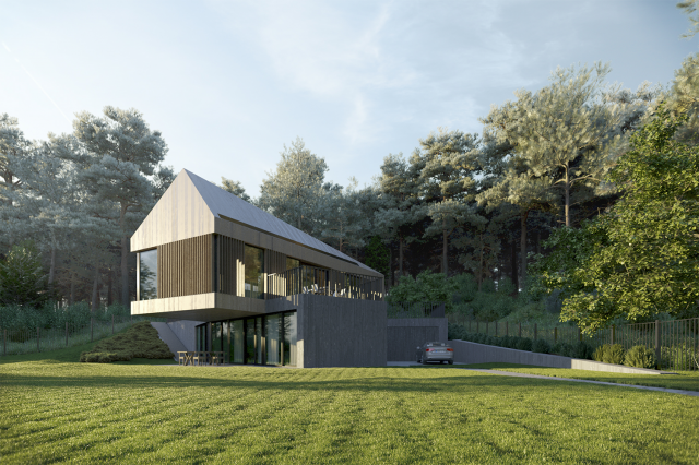 Forest house