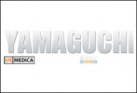 Yamaguchi Electronics Solutions (о компании)