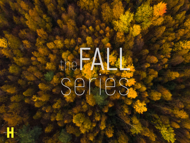 the FALL series