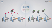 CDN