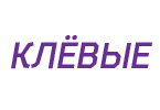 Flash-анимация, слайд-баннеры, редактирование флеш-сайтов