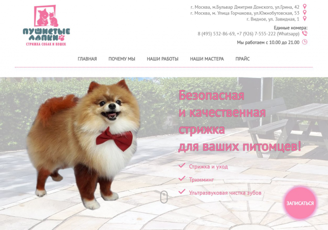 Лендинг салона Пушистые лапки