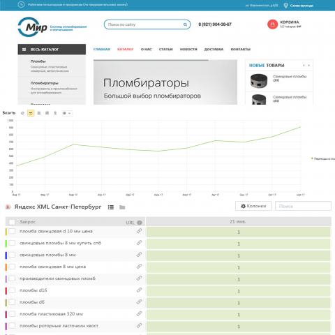 Продвижение сайта по продаже пломбираторов