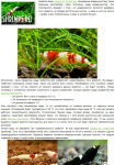 Вода для креветок Caridina sp. "Crystal Red"