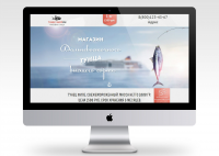 Landing Page №6