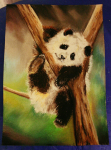 panda
