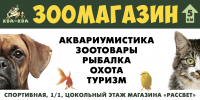 Билборд