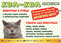 Листовка
