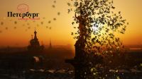 Белые ночи