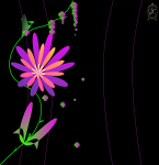 Corel Draw