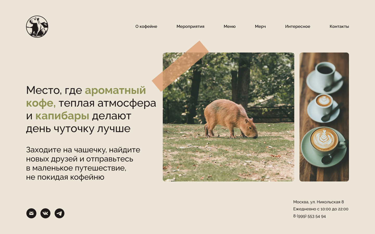website 1.png