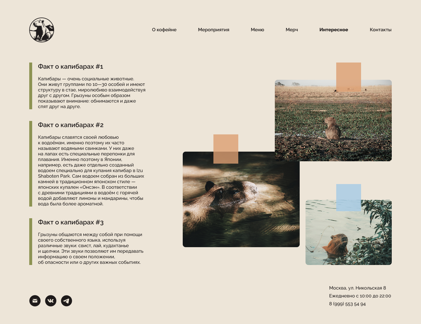 website 5.png