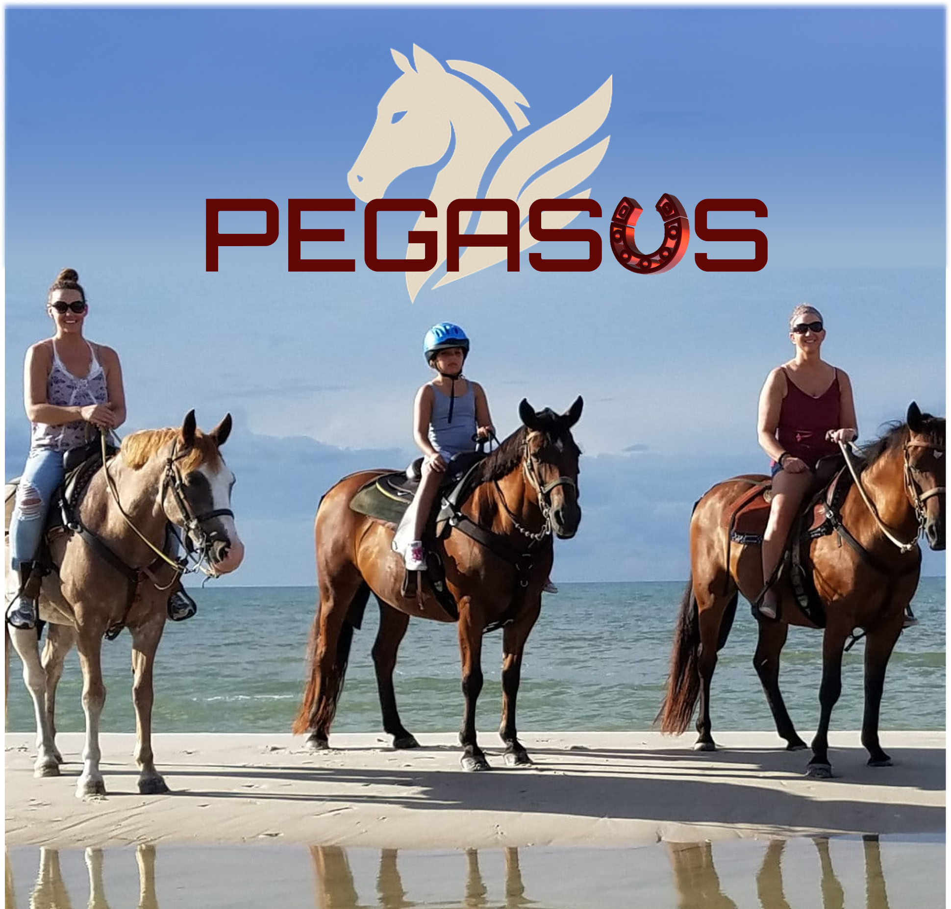 Pegasus Логотип и фирменый стиль