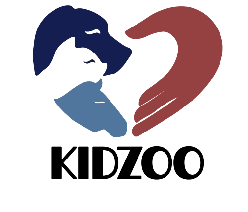 Логотип + Визитка + Бейдж KIDZOO