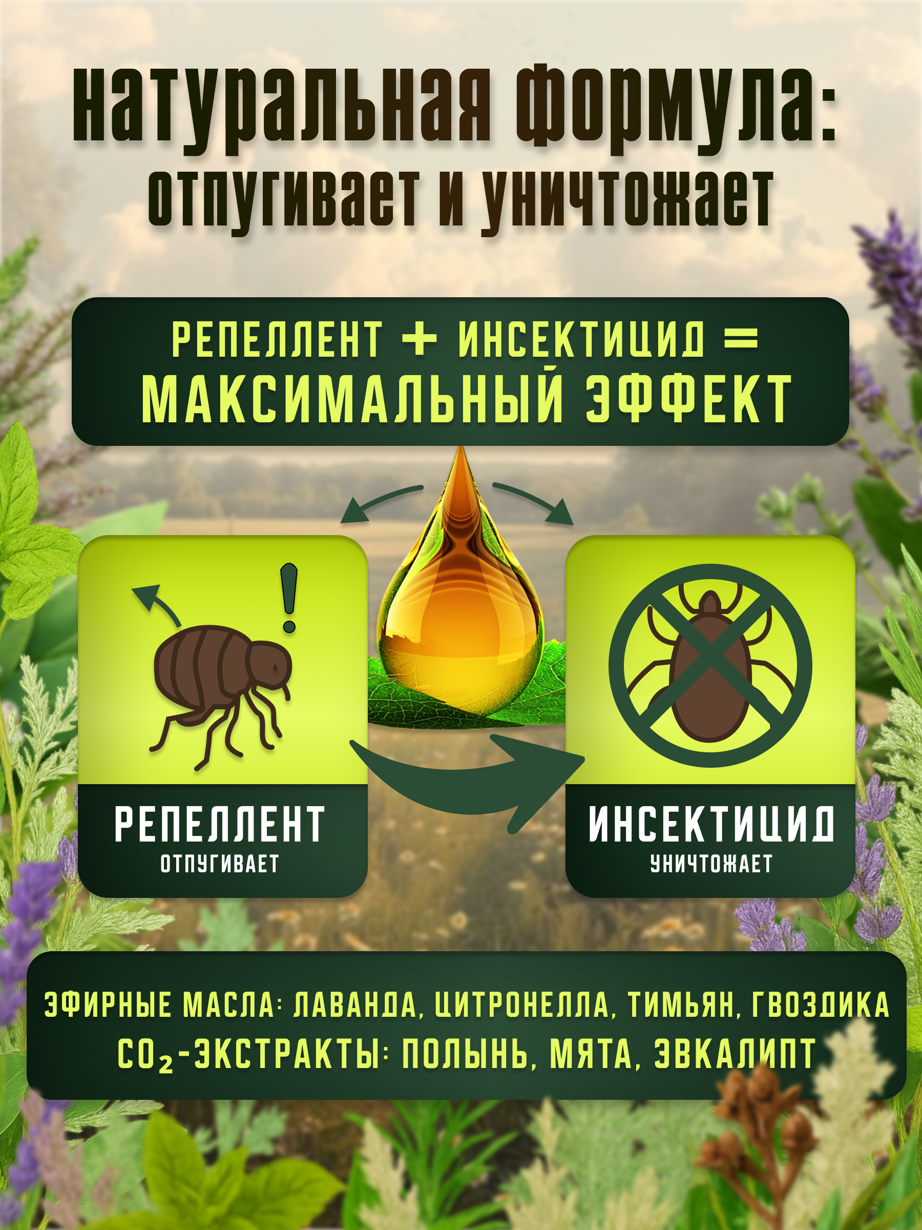 СЛАЙД 3_ ДВОЙНОЙ ПРИНЦИП ДЕЙСТВИЯ.png