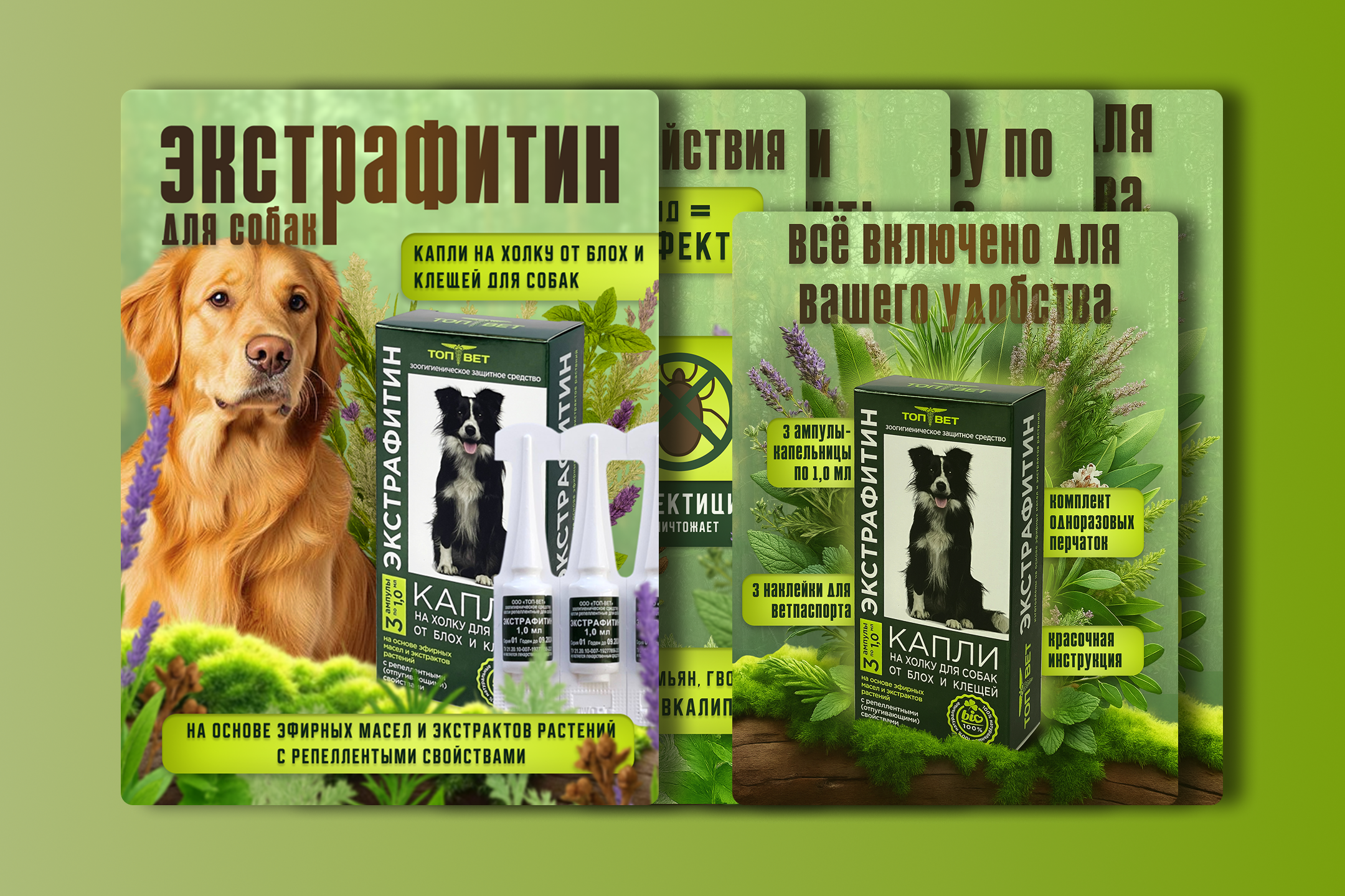 Инфографика для капель «Экстрафитин» — натуральная защита от блох и клещей для собак