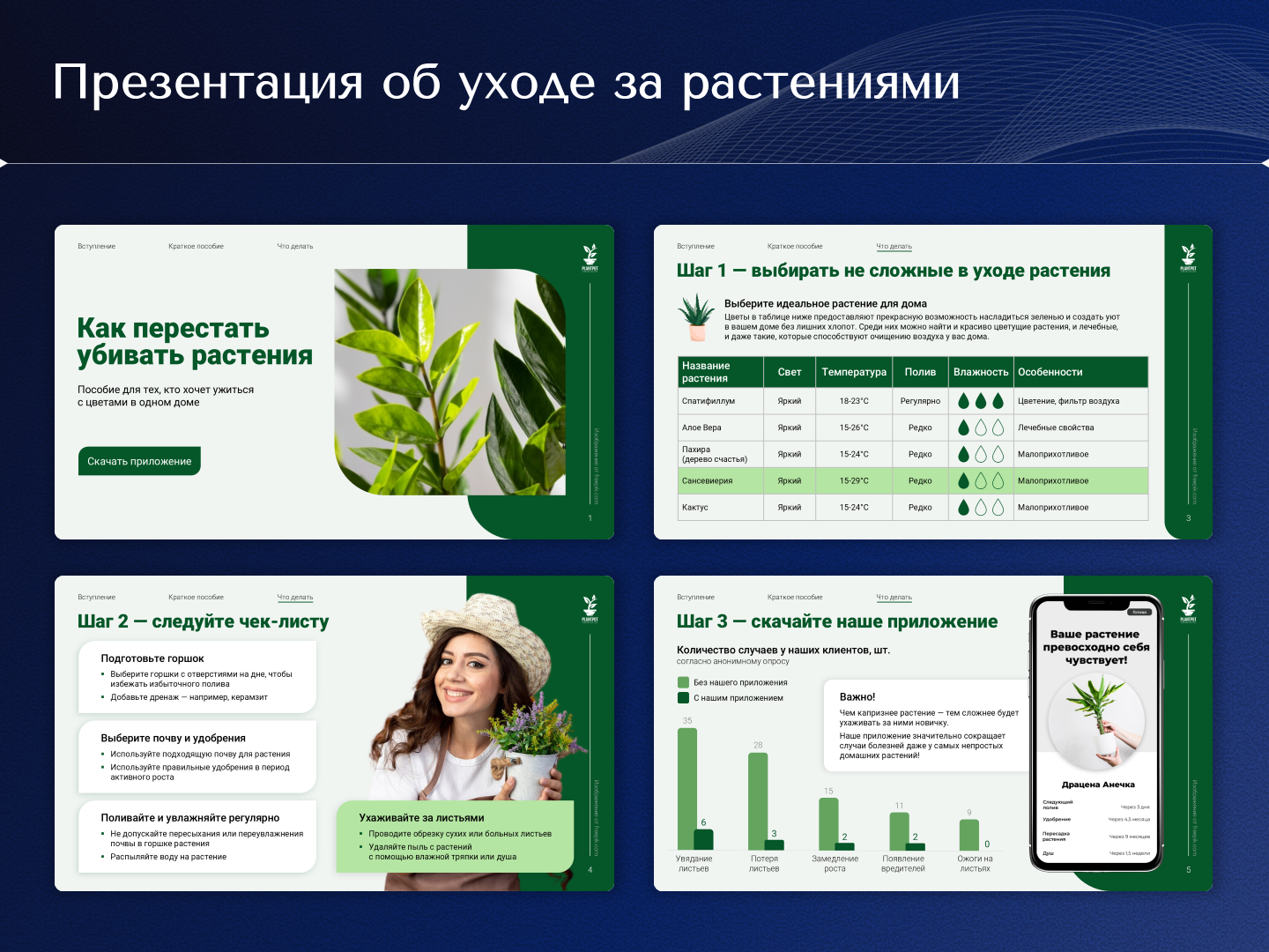 Презентация об уходе за растениями