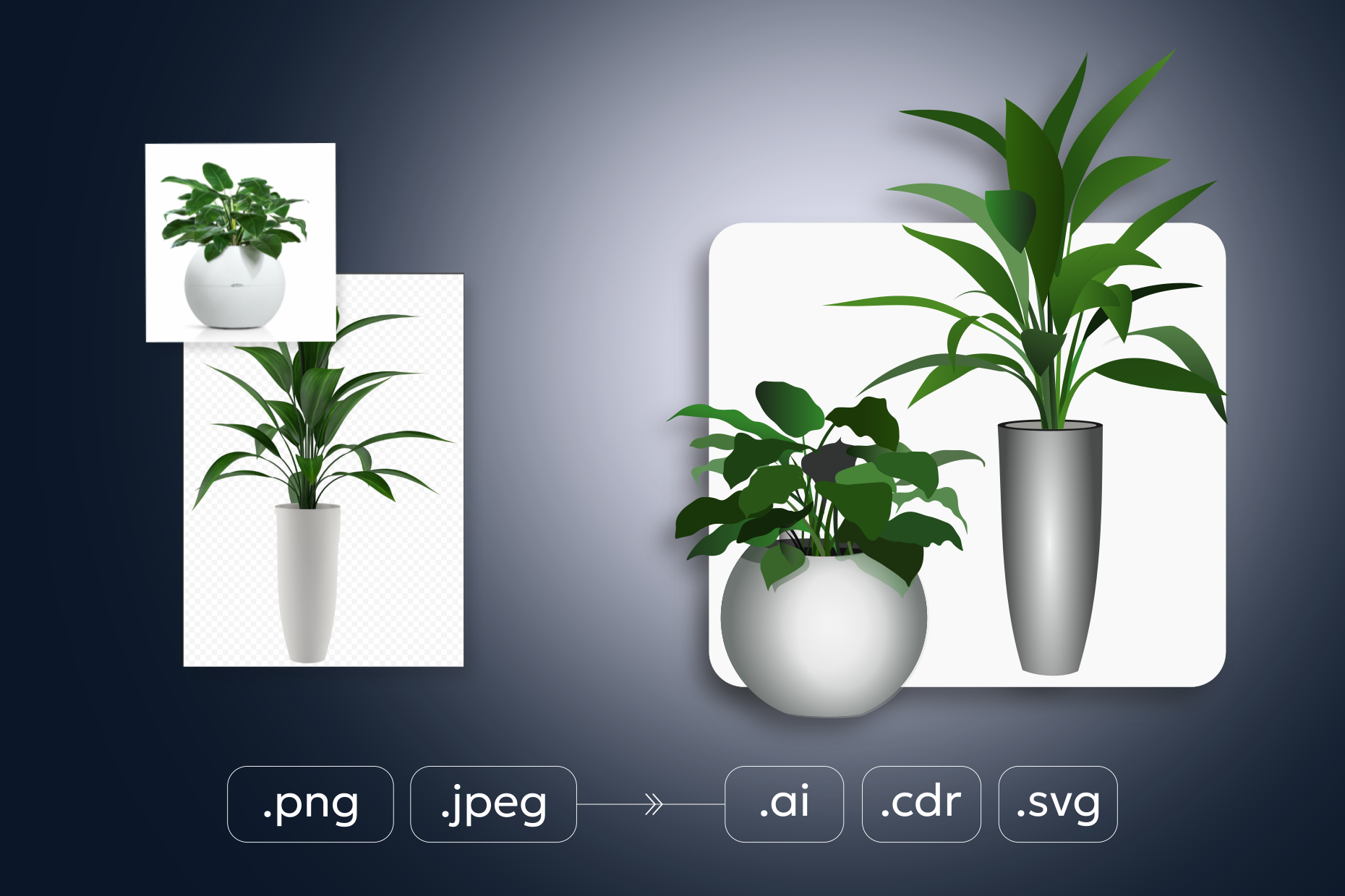 COVER_vector_1240 (96_280426)_g1158.png
