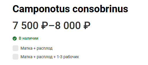 Рисунок1.png