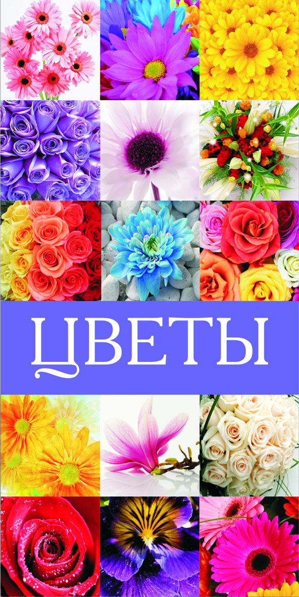 Цвету тут. Цветы реклама. Реклама живых цветов. Баннер цветов. Искусственные цветы надпись.