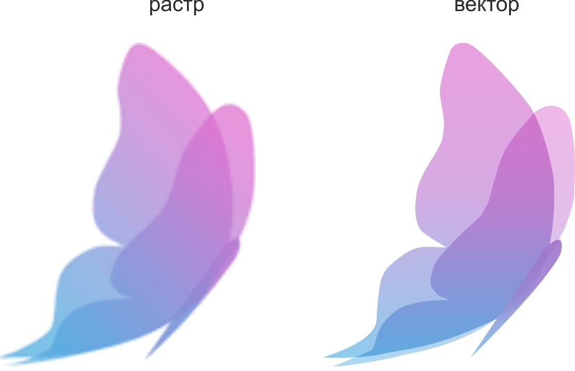 Растр в вектор. Растровая и Векторная иллюстрация. Картинки растровые и векторные. Рисунок вектор растр. Растровая и Векторная Графика в фотошопе.
