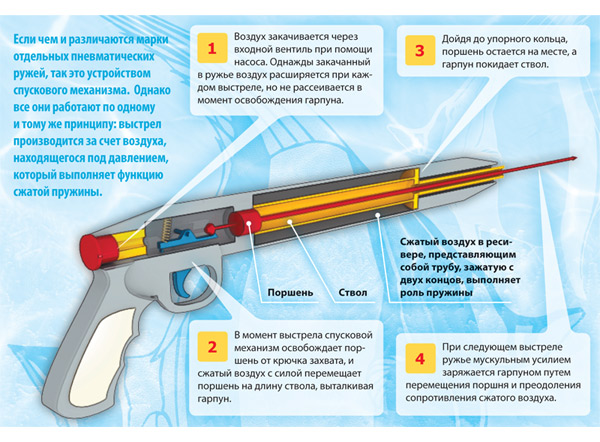 Схема подводного ружья своими руками