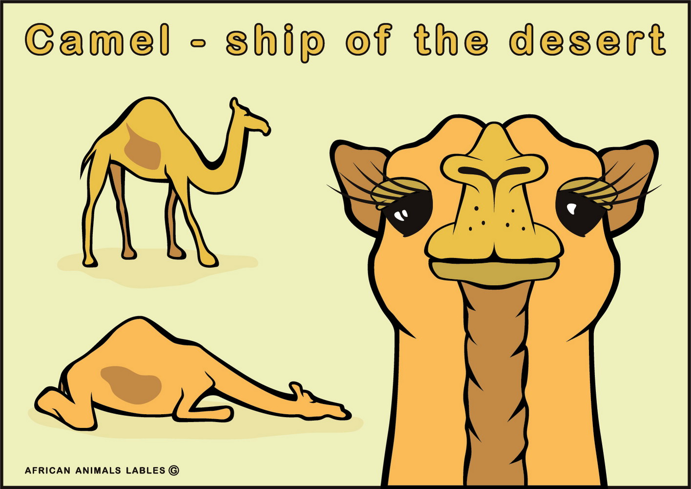 Camel by camel кошка. А ты точно дизайнер.