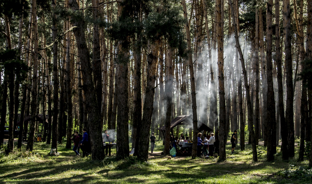 Пикник парк кафе. Пикник-парк Белгород. Белгородский пикник парк. Белгородская область пикник парк. Пикник-парк Белгород беседки.