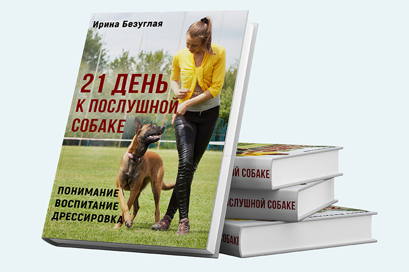 Книга по дрессировке собак. Дрессировка собак книга. Книга воспитание и дрессировка собаки. Обложка книг о дрессировке собак.