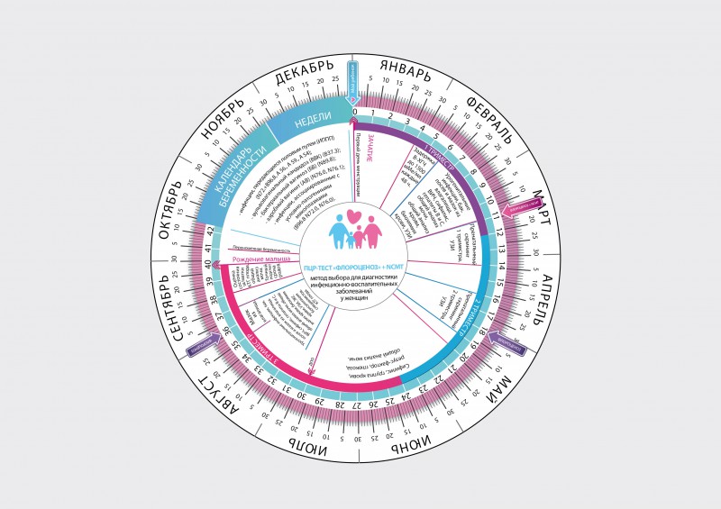 Календарь беременности и родов - ВИРИЛИС - детские медицинские программы