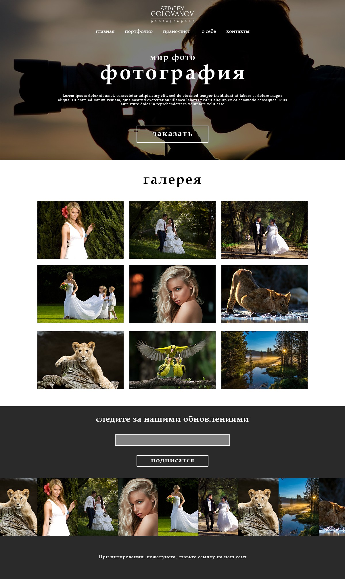 Сайт фотографа. Дизайн сайта фотографа. Визитка фотографа. Сайты фотографов примеры.
