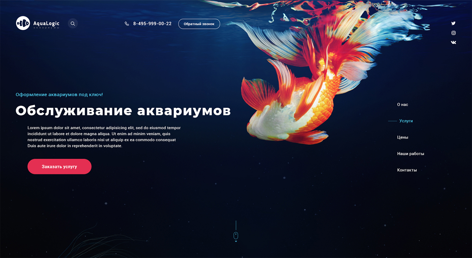 AquaLogic Обслуживание аквариумов - Фрилансер Евгений Савочкин evgenysv1 -  Портфолио - Работа #3451352