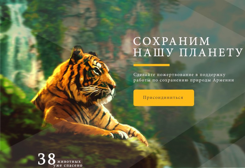 Работа UX/UI website tigerweb design фрилансера Arman Harutyunyan armanharu...