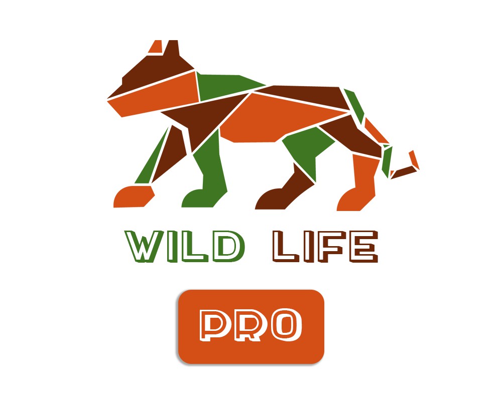 Вилд лайф. Вайлд лайф. Titan Wild лого. Park wildness logo. Промокоды Wild to Life..