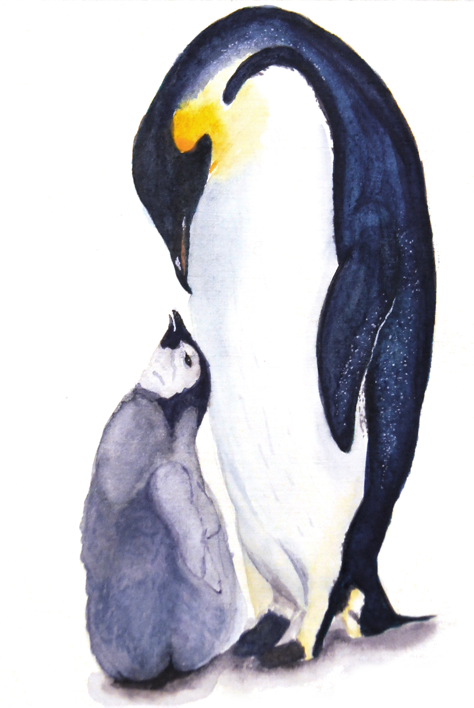 Пингвин рисование акварелью