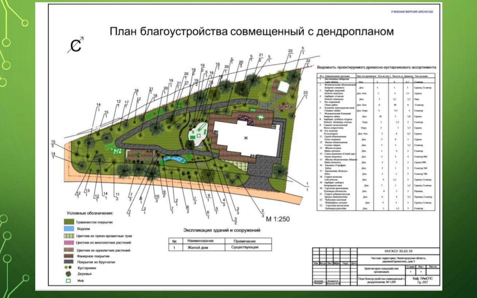 План облагораживания территории