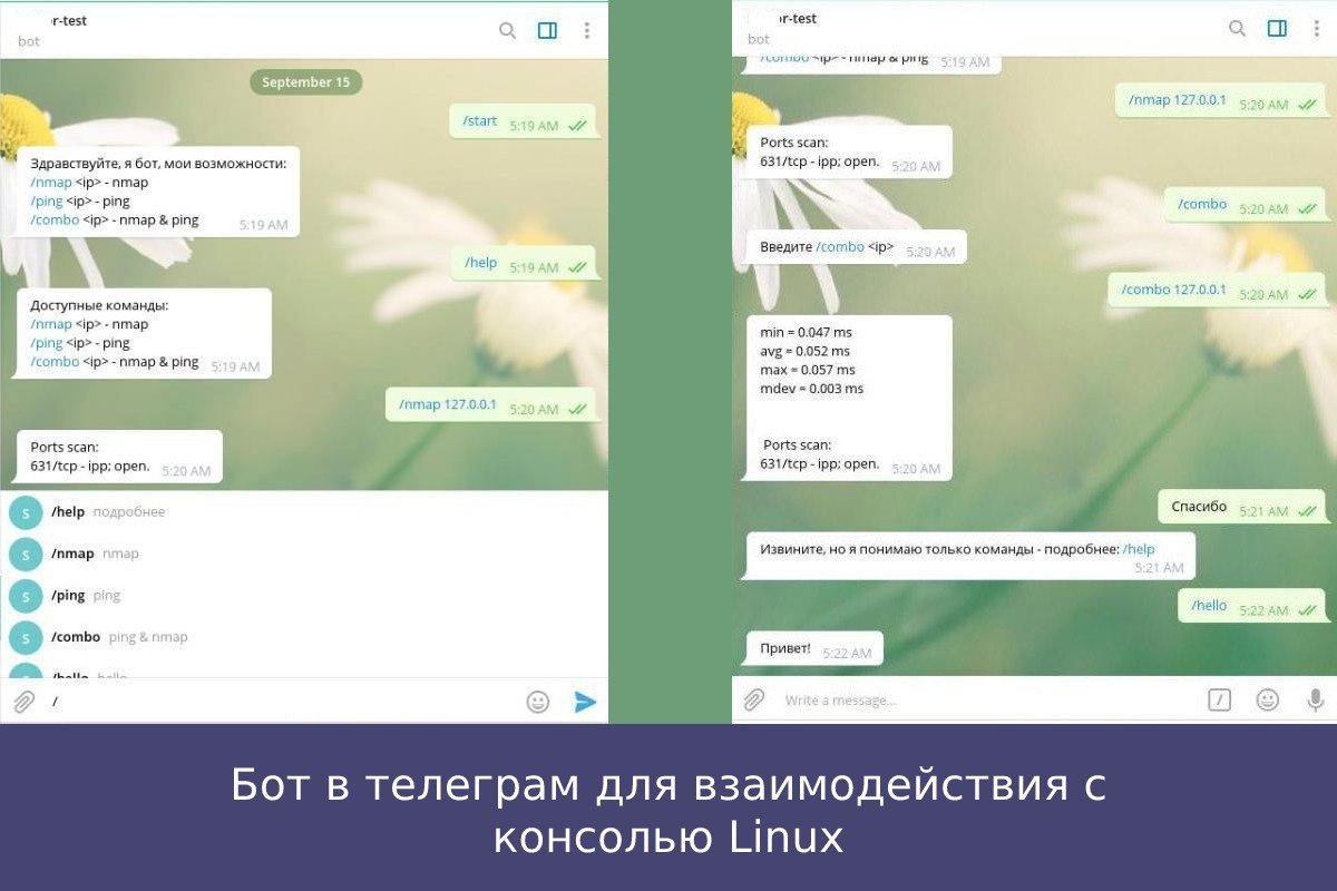 Бот в телеграм для взаимодействия с консолью Linux - Фрилансер Андрей  Комратов async - Портфолио - Работа #3974542