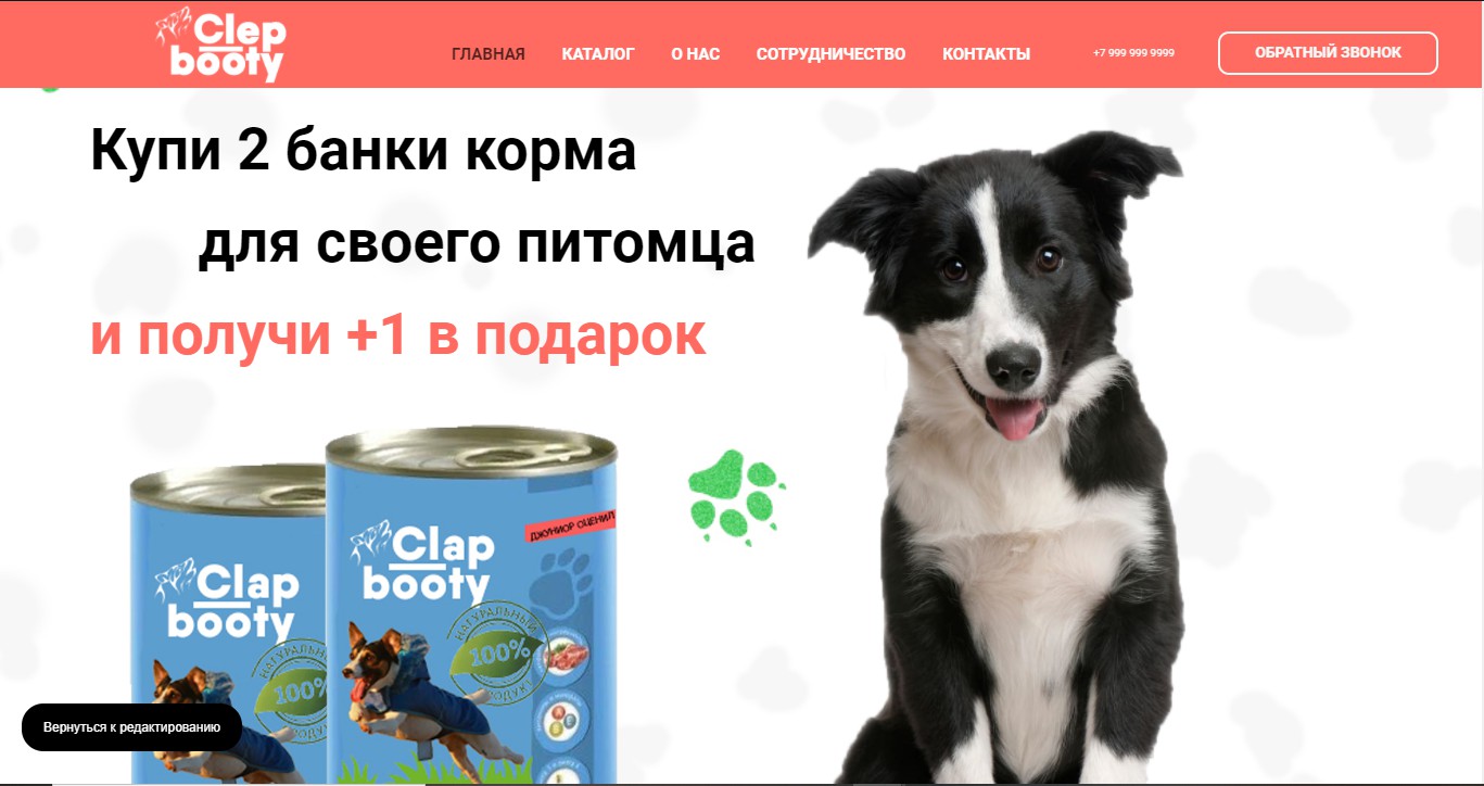 Дизайн сайта корма собак ХЛОПОЙ ПОПОЙ - Фрилансер Юрий Трухин simplyguy -  Портфолио - Работа #3994491