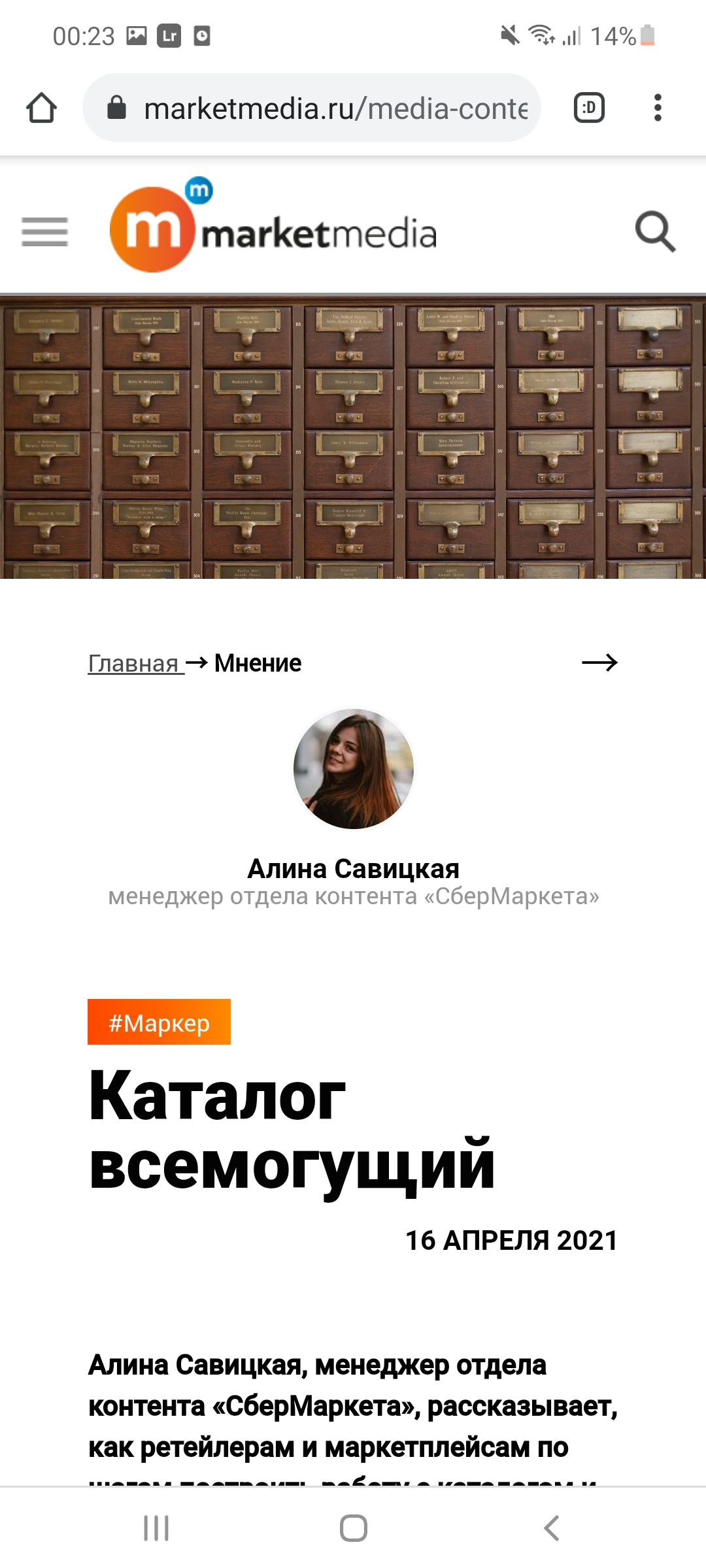 Аналитическая статья для Сбермаркет.ру - Фрилансер Алина Савицкая  alinaarcher - Портфолио - Работа #4120571