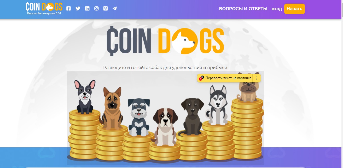 таргет) COINDOG реклама игры на основе криптовалюты - Фрилансер Пасичник  Татьяна tania1707 - Портфолио - Работа #4204437