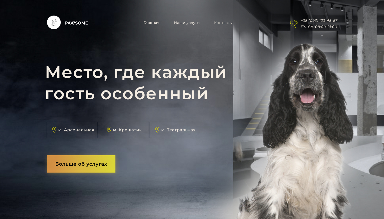 Сайт груминг-салона Pawsome - Фрилансер Татьяна Шевчук tatianashevchuk -  Портфолио - Работа #4264952