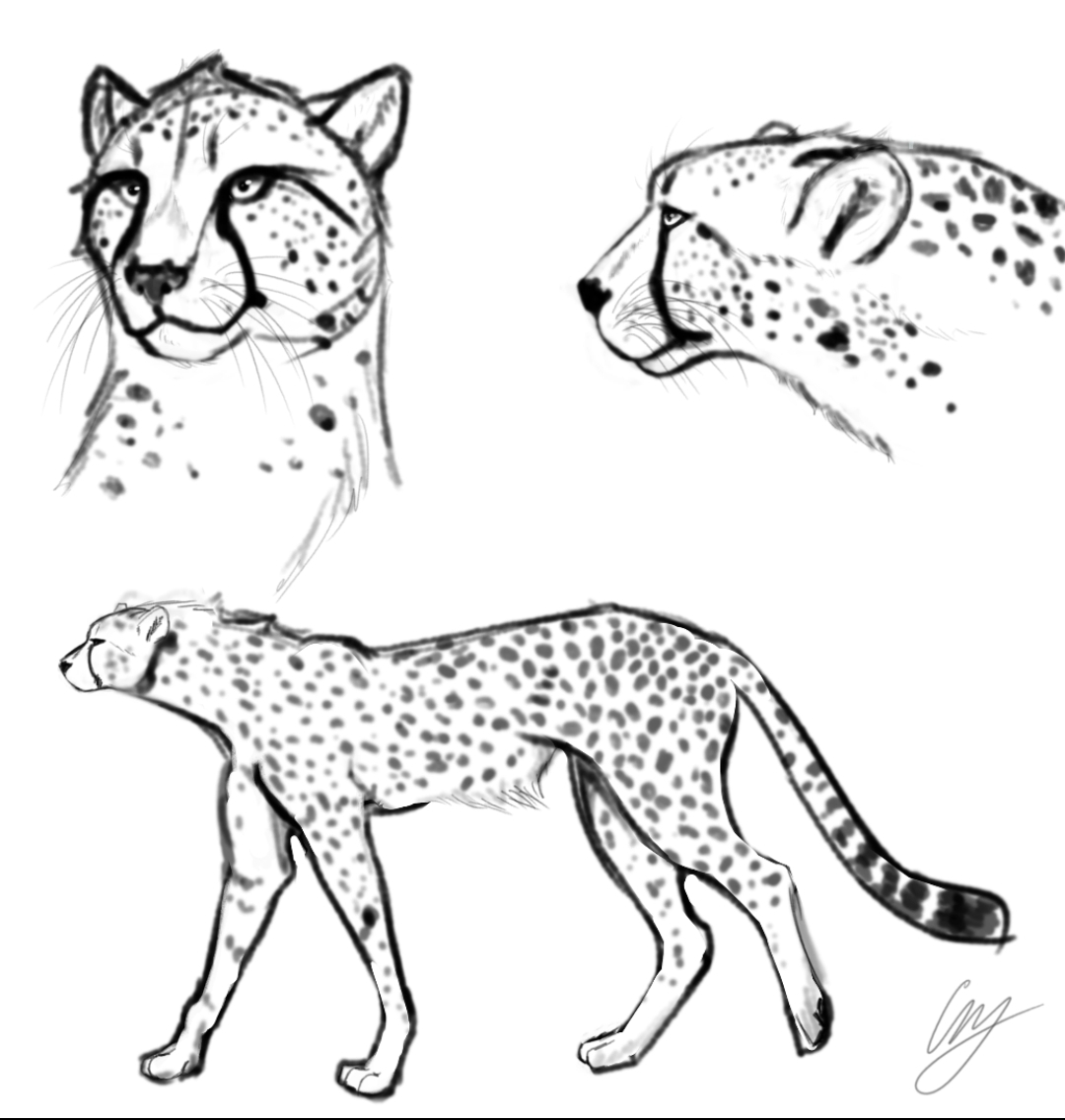 Рисунок по клеточкам гепард