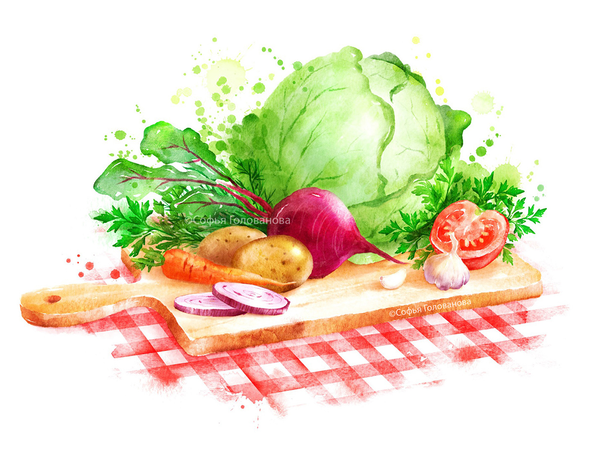 Борщ овощи иллюстрации