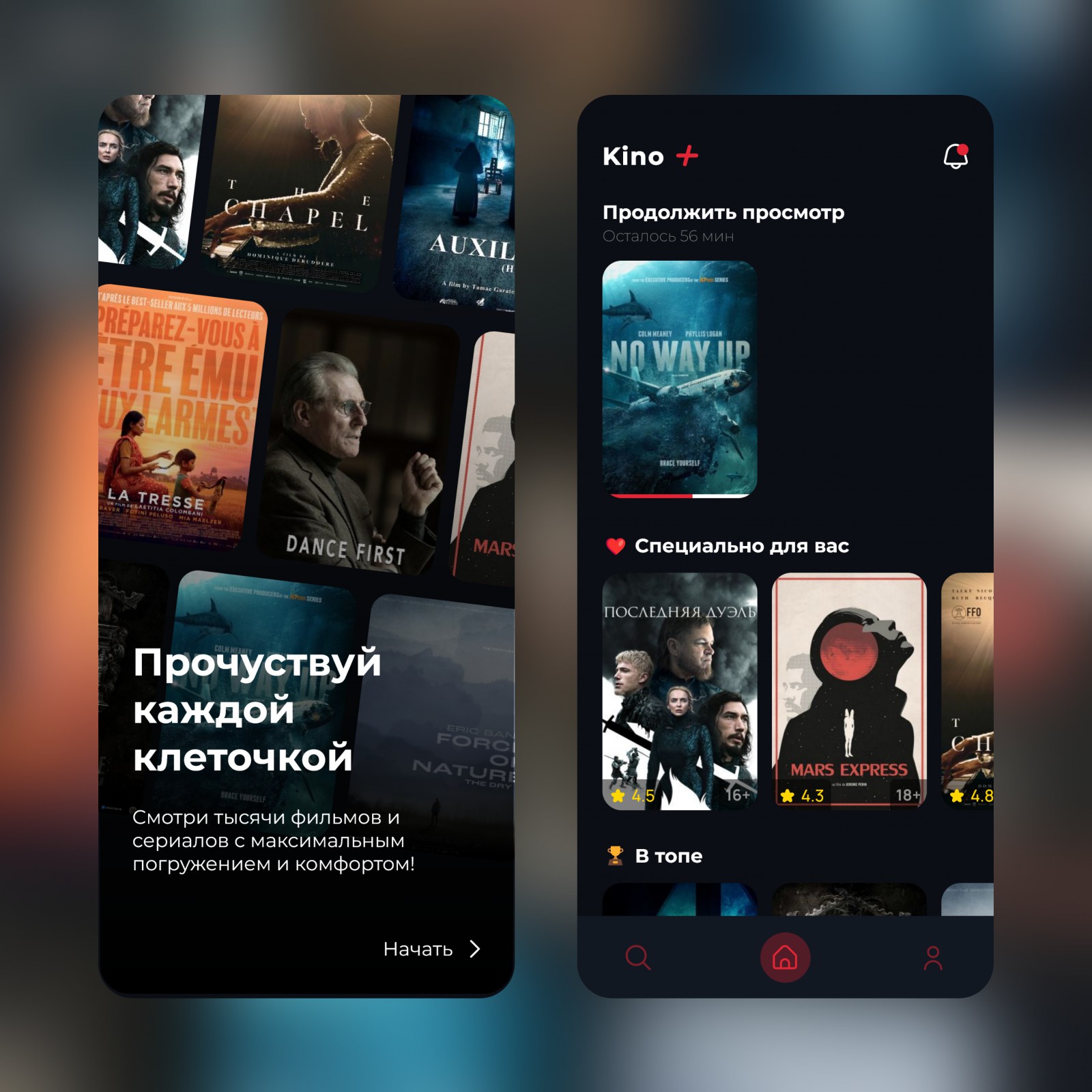 Kino Plus - Фрилансер Risoftol Studio risoftol - Портфолио - Работа #4493122