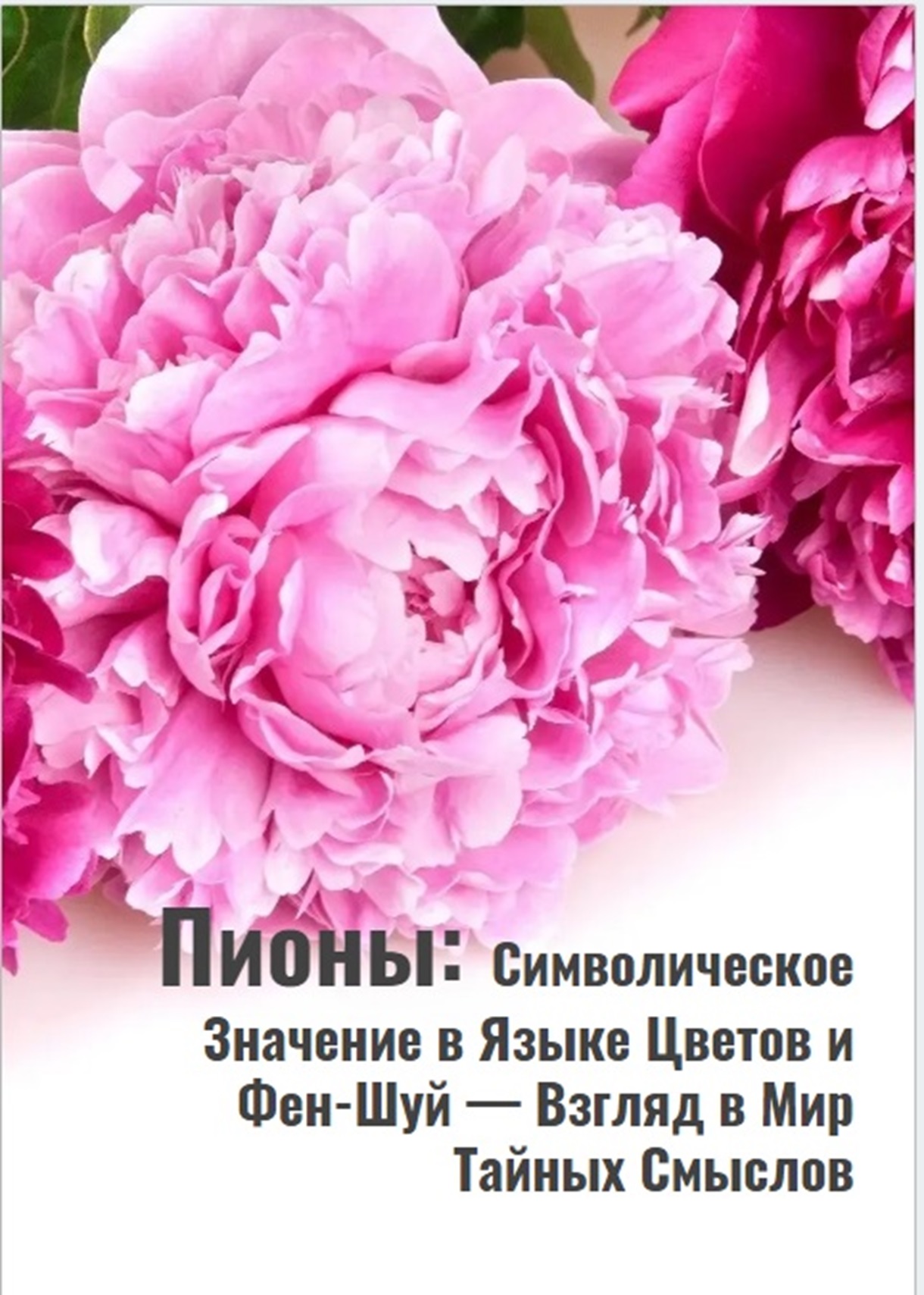 Пионы: Символическое Значение в Языке Цветов и Фен-Шуй - Фрилансер Анатолий  Вовк anat517 - Портфолио - Работа #4549168